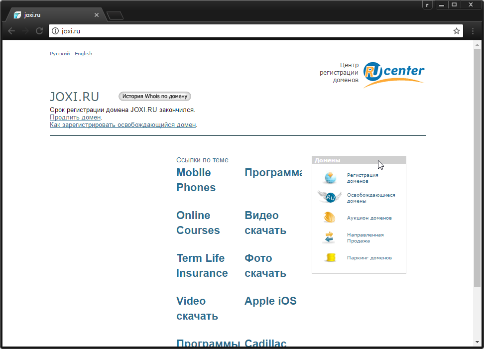 joxi.ru - term of domain registration
